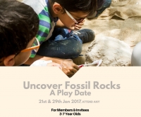 Uncover Fossil Rocks - A Play Date
